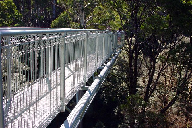 12 Apostles and Otway Fly Zipline Day Trip From Melbourne - Directions and Logistics