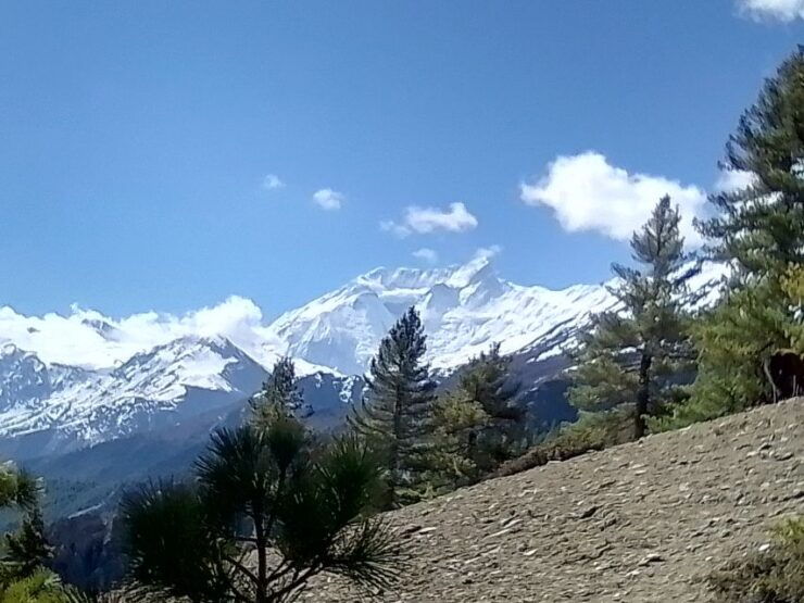 12 Day Annapurna Circuit Trek From Pokhara or Kathmandu - Trek Duration and Guide Details