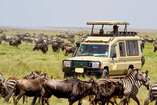 12-DAY Best Kenya and Tanzania Budget Safari From Nairobi - Meals Included