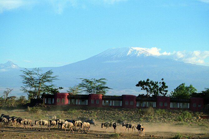 12-Day Best of Kenya and Tanzania Wildlife Encounter Safari - Meal Plan Information