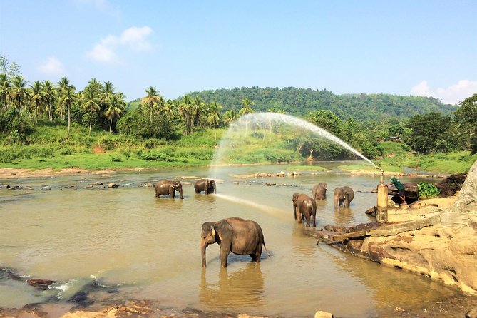 12 Day Explore Sri Lanka - Discovering the Cultural Triangle