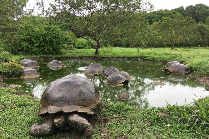 12-Day Galapagos Superior Adventure (Tourist Superior Class) - Important Notes