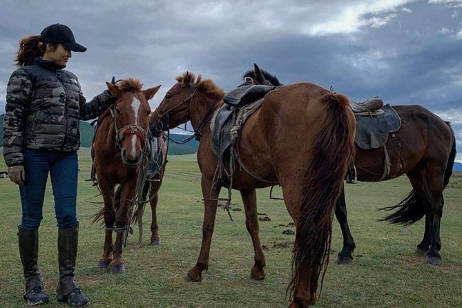 12-day Gobi and Central Mongolia Adventure - Good To Know