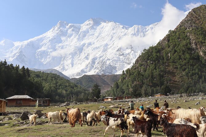 12-Day Hiking Tour Worlds Highest Mountain Ranges From Islamabad - Meal Plan