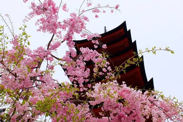 12-Day Japan Family Adventure through Tokyo, Kyoto, Osaka and Beyond by The Dragon Trip - Hakone trades city streets for volcanic views
