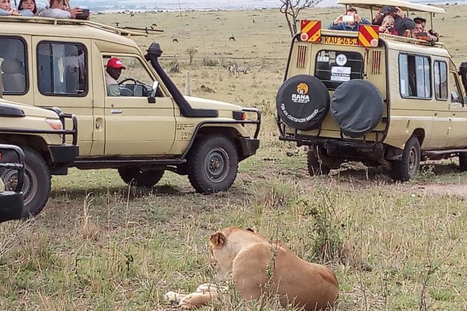 12-Day Kenya and Tanzania Budget Private Safari From Nairobi - The Sum Up