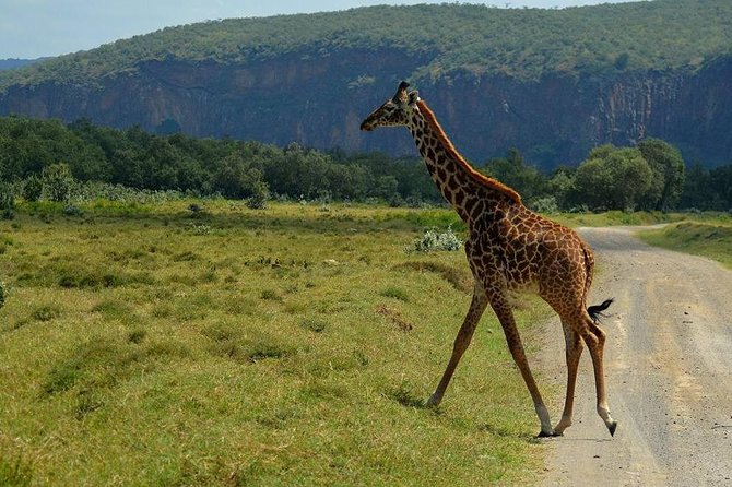 12-Day Kenya and Tanzania Private Lodge Safari From Nairobi (With Chinese Guide) - Pickup Information