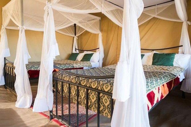 12-Day Kenya and Tanzania Safari Private Lodge Safari From Nairobi - Frequently Asked Questions