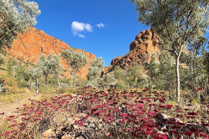 12 Day Kimberley Premium Camping Tour - Pre-Tour Arrangements