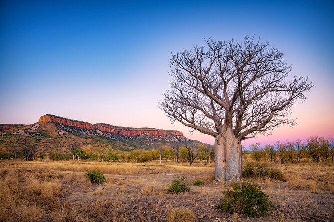 12 Day Kimberley Premium Camping Tour - What to Expect