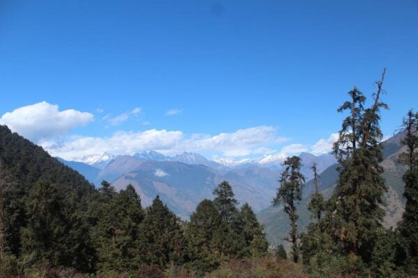12-Day Langtang Trek: Join Our Fixed Group Departure - Questions You May Have