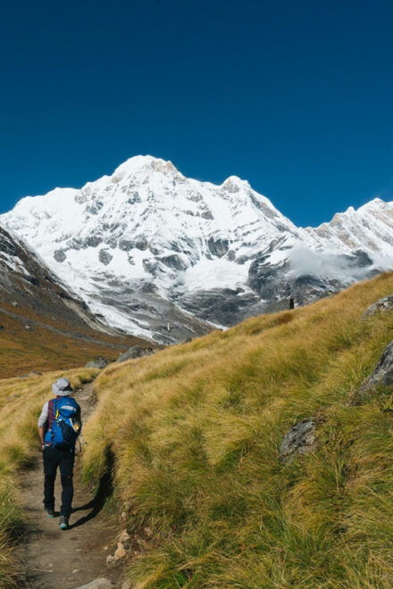 12 Day-Luxury Annapurna Base Camp Trek With Domestic Flight - Inclusions and Exclusions