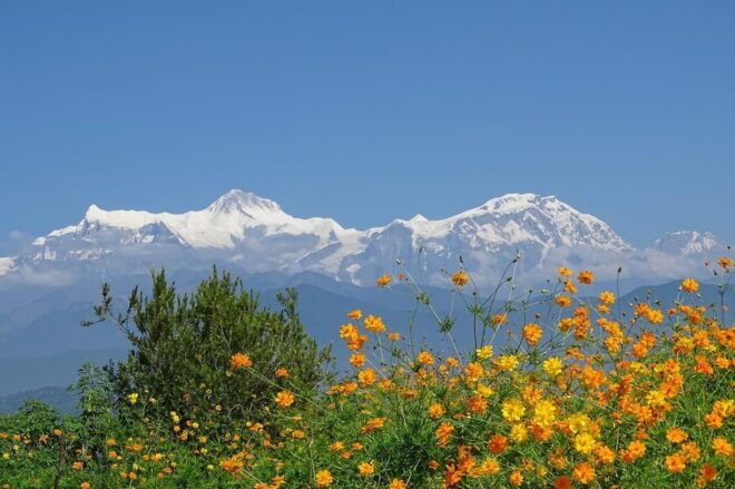 12 Day-Luxury Annapurna Base Camp Trek With Domestic Flight - Break Down