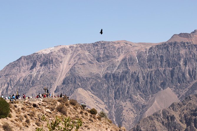 12 Day Marvelous of Peru: Lima, Nasca, Colca, Titikaka, Cusco & Machu Picchu - Lima to Arequipa