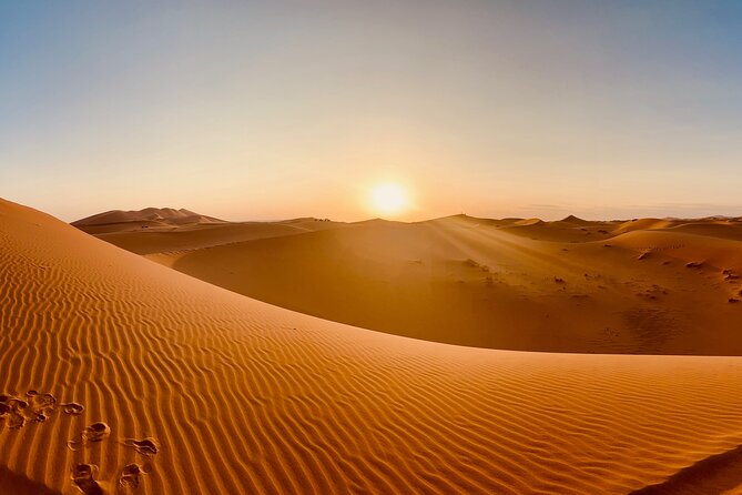 12 Day Morocco Tour - Transfer to Marrakech-Safi