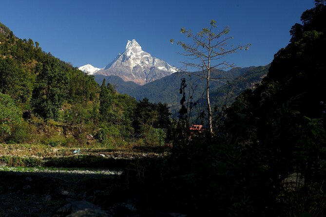 12-Day Nepal Adventure Trek With Jungle Safari - Itinerary Overview