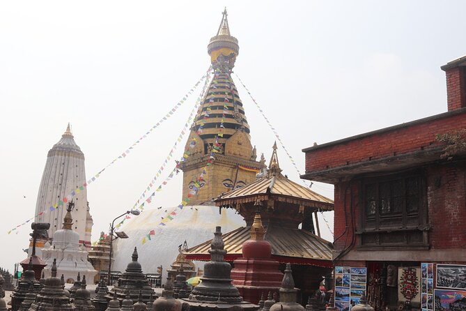 12-Day Nepal Adventure Trek With Jungle Safari - Jungle Safari Experience