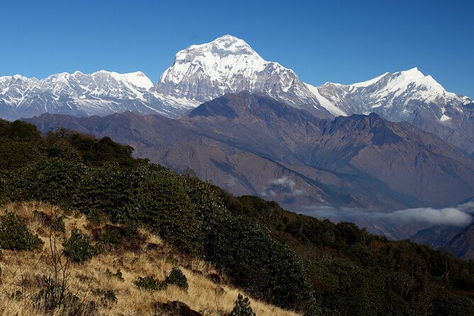 12-Day Nepal Adventure Trek With Jungle Safari - Safety and Precautions