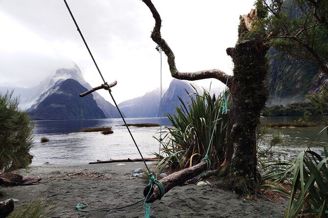 12 Day New Zealand Private Tour from Auckland to Queenstown - Practical Details and Value