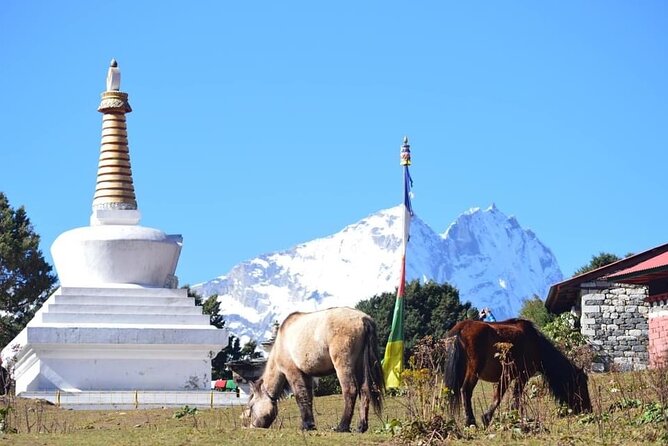 12 Day Private Mt. Everest View Luxury Trek - Questions and Help Center