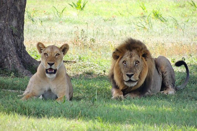 12 Days / 11 Nights Private Group Safari - Inclusions and Exclusions