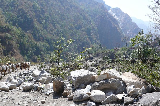 12 Days Annapurna Panorama & Tatopani Trek - Highlights of the Trek