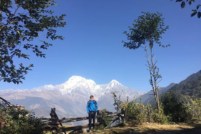 12 Days Annapurna Round Trek From Pokhara - Itinerary Highlights and Duration