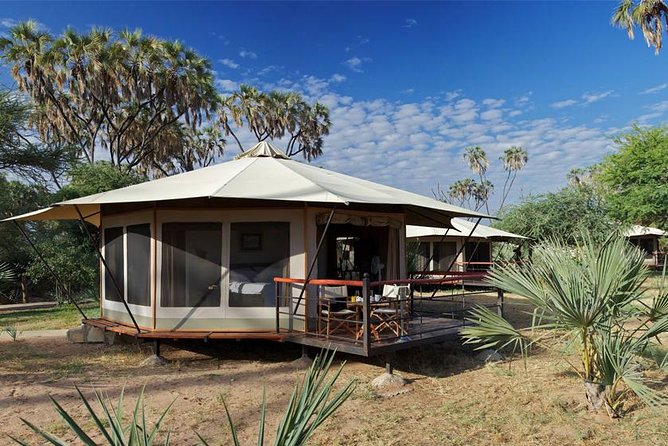 12-Days Best Of Kenya Big Five Wildlife Private Safari - Wildlife Encounters