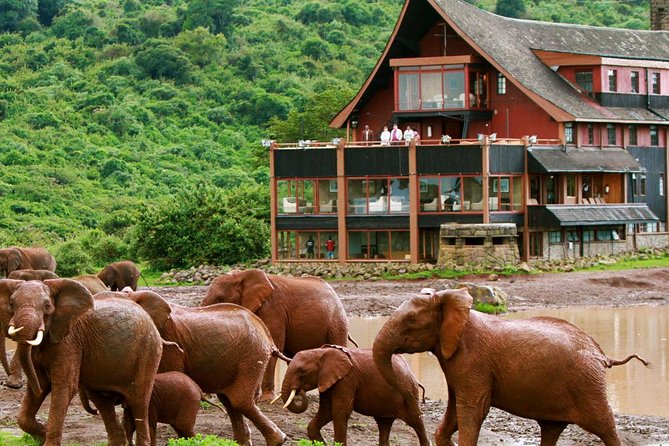 12-Days Best Of Kenya Big Five Wildlife Private Safari - The Sum Up