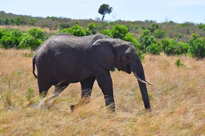 12 Days Best Of Kenya Tanzania Safari - Itinerary