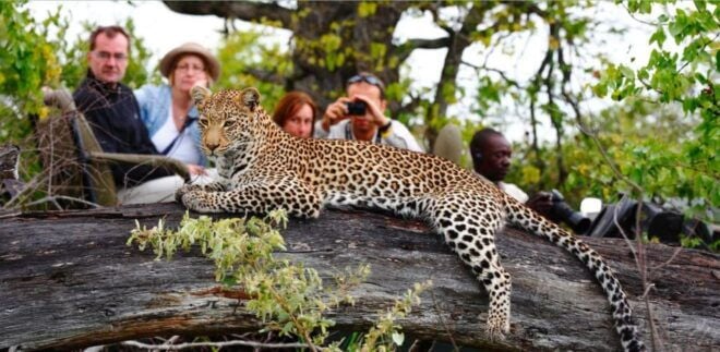 12 Days Best Of South Africa Tour - Johannesburg to CapeTown - Day 2-3: Kruger National Park