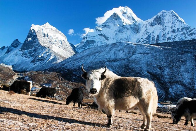 12 Days Everest Base Camp Trek - Good To Know