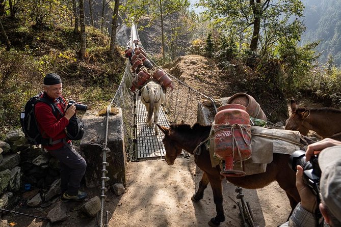 12 Days Everest View Trek With Historic Kathmandu Tour - Itinerary Highlights