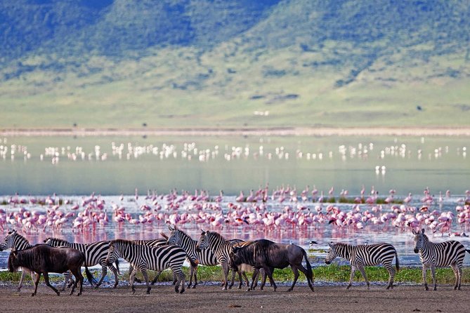 12 Days Exciting Kenya and Tanzania Safari Adventure - Cultural Experiences and Local Interactions