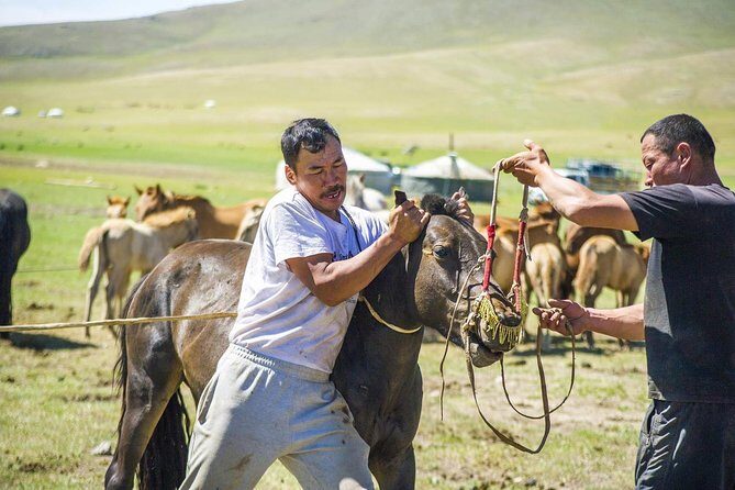 12 Days Gobi Desert and Express Mongolia - A Detailed Look at the 12-Day Mongolia Experience