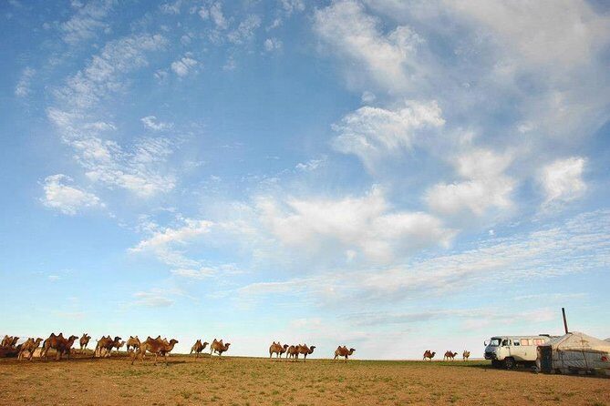 12 Days Gobi Desert and Express Mongolia - The Itinerary Breakdown: What You Can Expect Each Day
