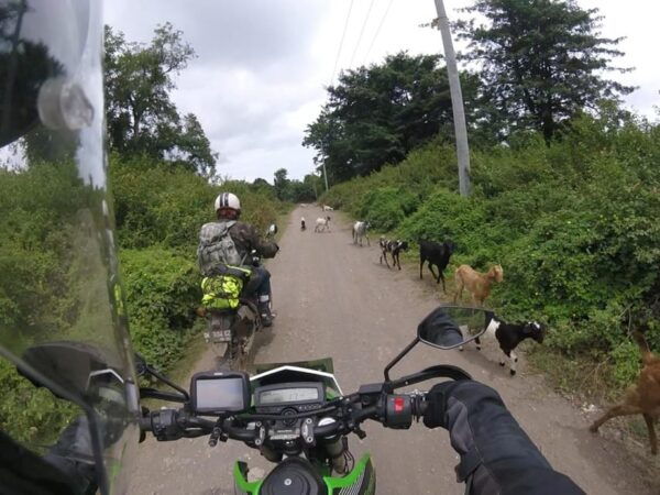 12 Days in Indonesia Bali Java Adventure on Motorcycle - Exploring Bali and Java Attractions