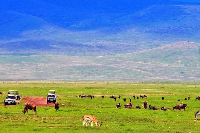 12 Days Kenya Safari Holidays - Day 6: Tsavo East National Park Experience