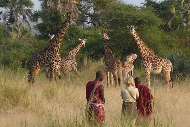 12 Days Kenya Safari Holidays - Day 7: Safari in Samburu National Reserve