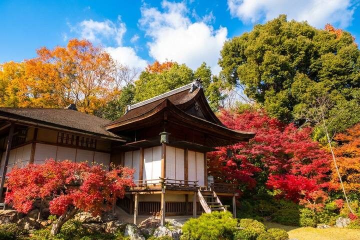 12 Days Kinosaki Onsen Escape: A Journey Through Japans Timeless Towns by UME Travel - A country road to Kinosaki Onsen
