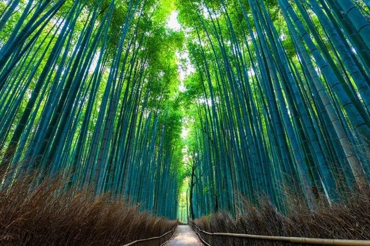 12 Days Kinosaki Onsen Escape: A Journey Through Japans Timeless Towns by UME Travel - Kanazawa rewards a slower look