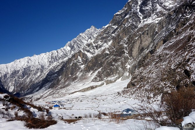 12 Days Langtang Valley Homestay Trek - Day 5 Trek: Langtang Village (3307m)