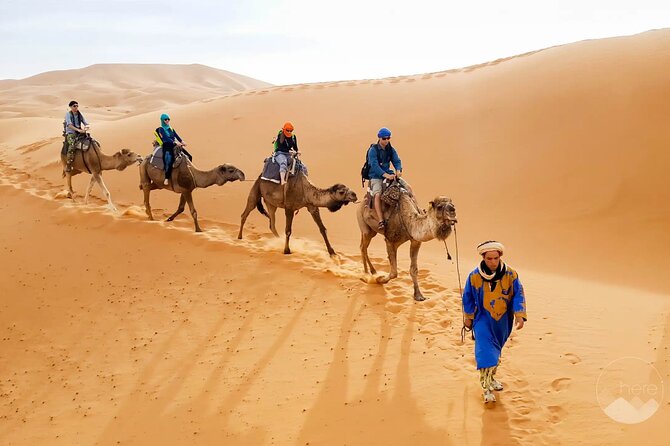 12 Days Nomad Life Discovery From Marrakech - Accommodation and Meals