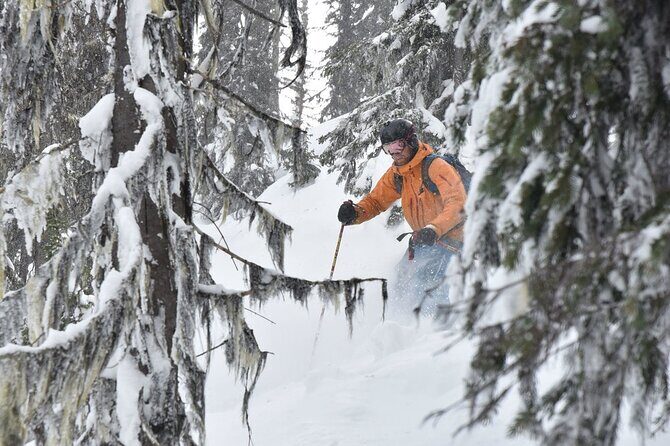 12 Days Powder Highway Ski and Snowboard Tour - Fernie: Powder Paradise in the Rockies