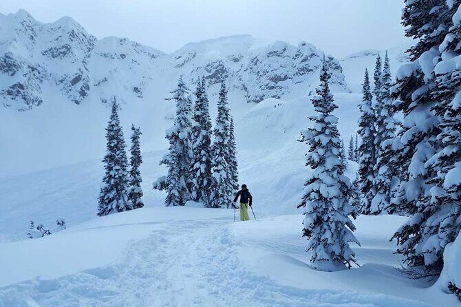 12 Days Powder Highway Ski and Snowboard Tour - Price and Value