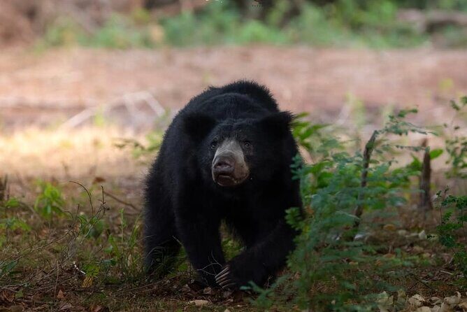 12 Days Private Escape Tour- Best of Sri Lanka - Final Thoughts