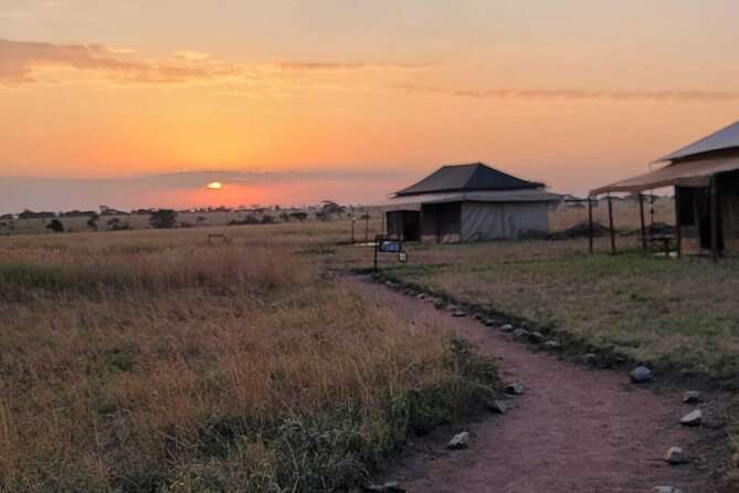 12 Days Safari Tour Around Mt Kilimanjaro - Traveler Limitations