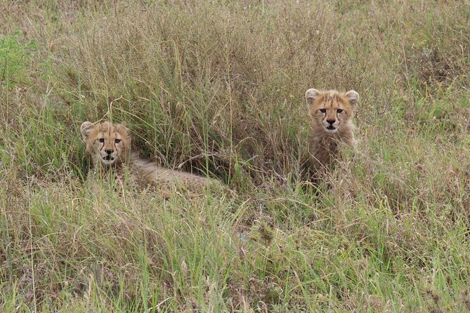 12 Days Safari Tour Around Mt Kilimanjaro - Additional Information