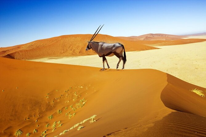 12 Days Self Drive Tour Namibia In Plus - Pickup and Meeting Points