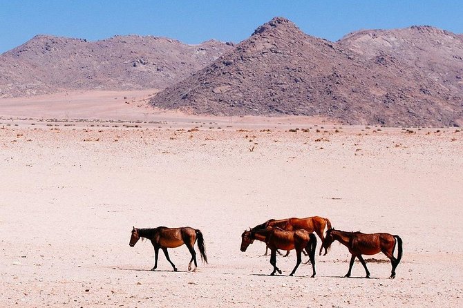 12 Days Self Drive Tour Namibia In Plus - Price Details
